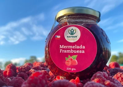 Mermelada Frambuesa 220 gramos_2